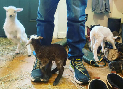 A Bit of Preparedness Image